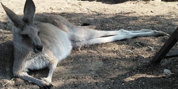 横浜市立金沢動物園に投稿された画像（2022/11/12）
