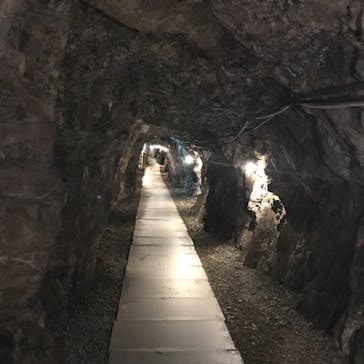 土肥金山に投稿された画像（2022/11/12）