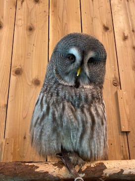 伊豆シャボテン動物公園に投稿された画像（2022/11/12）