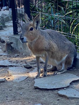 伊豆シャボテン動物公園に投稿された画像（2022/11/12）