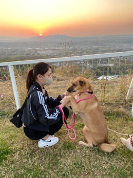 ワールド牧場に投稿された画像（2022/11/12）