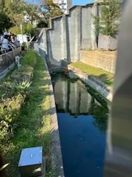 天王寺動物園に投稿された画像（2022/11/12）