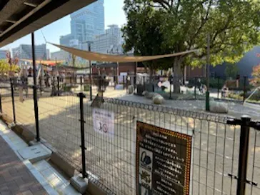 天王寺動物園に投稿された画像（2022/11/12）