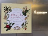 おいしいボタニカル・アート　食を彩る植物のものがたり(SOMPO美術館)に投稿された画像（2022/11/12）