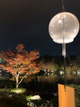 国営昭和記念公園 秋の夜散歩に投稿された画像（2022/11/12）
