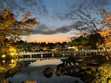 国営昭和記念公園 秋の夜散歩に投稿された画像（2022/11/12）
