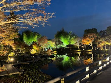 国営昭和記念公園 秋の夜散歩に投稿された画像（2022/11/12）