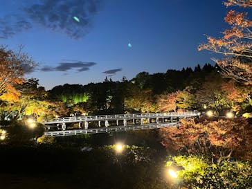 国営昭和記念公園 秋の夜散歩に投稿された画像（2022/11/12）