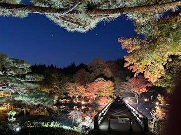 国営昭和記念公園 秋の夜散歩に投稿された画像（2022/11/12）
