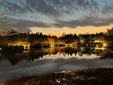 国営昭和記念公園 秋の夜散歩に投稿された画像（2022/11/12）