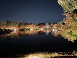 国営昭和記念公園 秋の夜散歩に投稿された画像（2022/11/12）