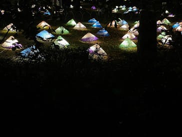 国営昭和記念公園 秋の夜散歩に投稿された画像（2022/11/12）