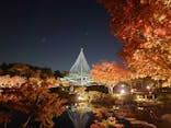 国営昭和記念公園 秋の夜散歩に投稿された画像（2022/11/12）