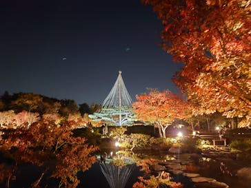 国営昭和記念公園 秋の夜散歩に投稿された画像（2022/11/12）