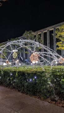 ハルカス300(展望台)に投稿された画像（2022/11/12）