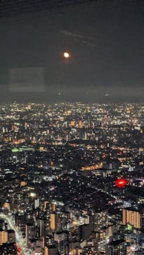 ハルカス300(展望台)に投稿された画像（2022/11/12）