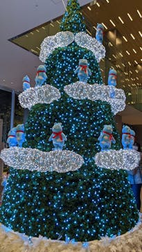 ハルカス300(展望台)に投稿された画像（2022/11/12）