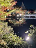 国営昭和記念公園 秋の夜散歩に投稿された画像（2022/11/12）