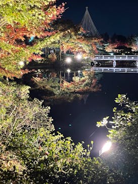 国営昭和記念公園 秋の夜散歩に投稿された画像（2022/11/12）