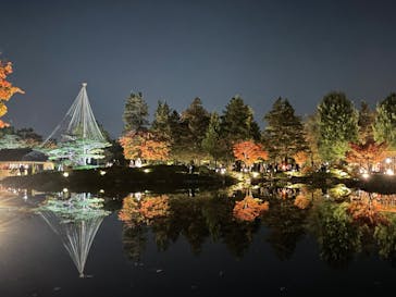 国営昭和記念公園 秋の夜散歩に投稿された画像（2022/11/12）