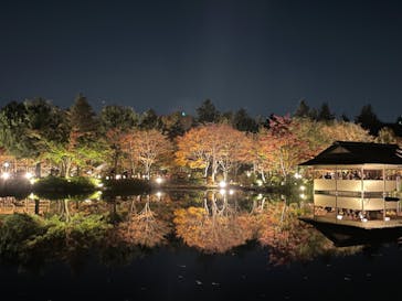 国営昭和記念公園 秋の夜散歩に投稿された画像（2022/11/12）