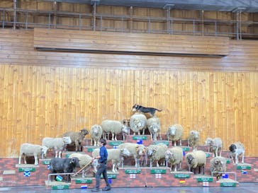 マザー牧場に投稿された画像（2022/11/12）