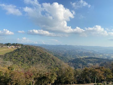 マザー牧場に投稿された画像（2022/11/12）