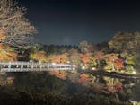 国営昭和記念公園 秋の夜散歩に投稿された画像（2022/11/12）