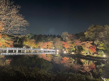 国営昭和記念公園 秋の夜散歩に投稿された画像（2022/11/12）