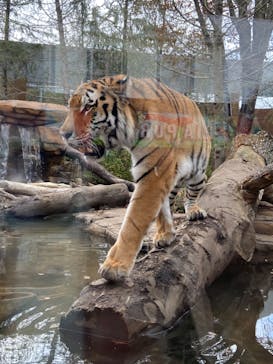 那須どうぶつ王国に投稿された画像（2022/11/12）