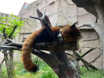 那須どうぶつ王国に投稿された画像（2022/11/12）