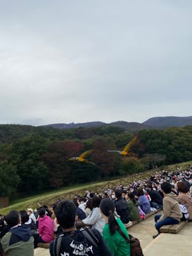 那須どうぶつ王国に投稿された画像（2022/11/12）