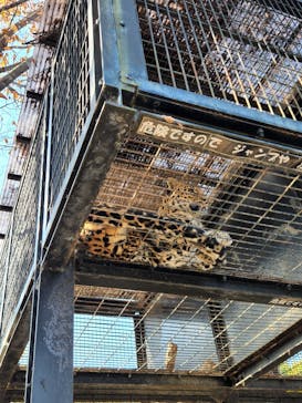 群馬サファリパークに投稿された画像（2022/11/12）