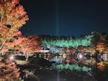 国営昭和記念公園 秋の夜散歩に投稿された画像（2022/11/12）