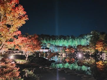 国営昭和記念公園 秋の夜散歩に投稿された画像（2022/11/12）