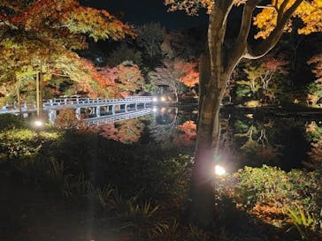 国営昭和記念公園 秋の夜散歩に投稿された画像（2022/11/12）