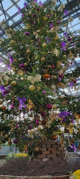 安城産業文化公園デンパークに投稿された画像（2022/11/12）