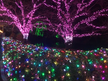 東武動物公園に投稿された画像（2022/11/12）