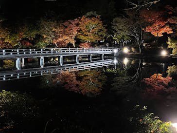 国営昭和記念公園 秋の夜散歩に投稿された画像（2022/11/12）