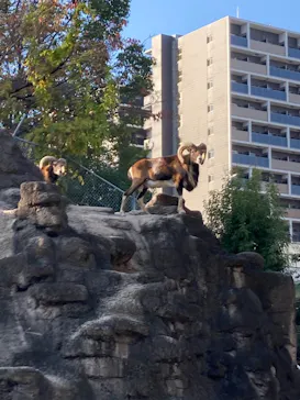天王寺動物園に投稿された画像（2022/11/12）
