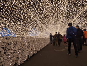 東京メガイルミに投稿された画像（2022/11/12）
