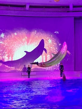 アクアワールド茨城県大洗水族館に投稿された画像（2022/11/12）