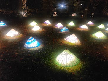 国営昭和記念公園 秋の夜散歩に投稿された画像（2022/11/12）