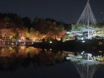 国営昭和記念公園 秋の夜散歩に投稿された画像（2022/11/12）