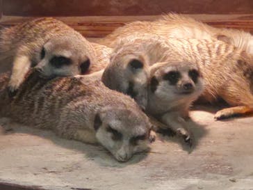 アニタッチみなとみらいに投稿された画像（2022/11/12）