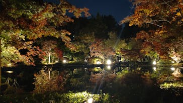 国営昭和記念公園 秋の夜散歩に投稿された画像（2022/11/12）