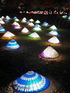 国営昭和記念公園 秋の夜散歩に投稿された画像（2022/11/12）