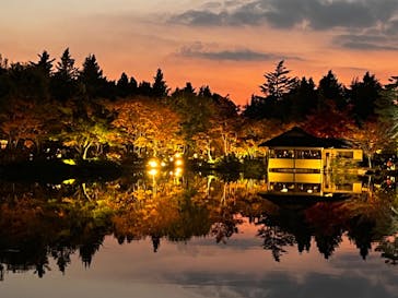 国営昭和記念公園 秋の夜散歩に投稿された画像（2022/11/12）