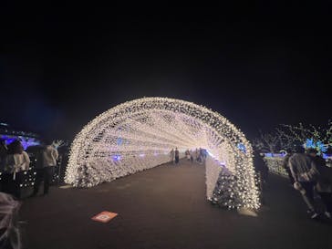 東京メガイルミに投稿された画像（2022/11/12）