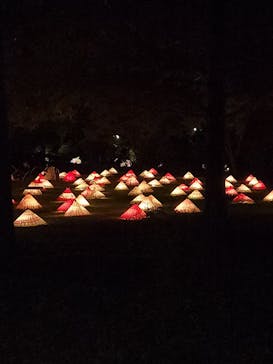 国営昭和記念公園 秋の夜散歩に投稿された画像（2022/11/12）